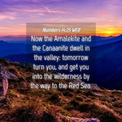 Picture 04 - Numbers 14:25 WEB - Now the Amalekite and the Canaanite dwell in the - Bible Verse Picture
