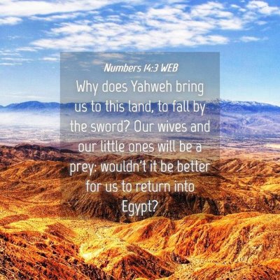 Picture 04 - Numbers 14:3 WEB - Why does Yahweh bring us to this land, to fall by - Bible Verse Picture