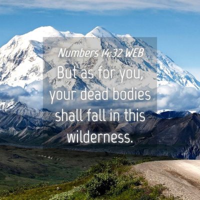 Picture 04 - Numbers 14:32 WEB - But as for you, your dead bodies shall fall in - Bible Verse Picture