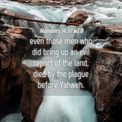 Picture 04 - Numbers 14:37 WEB - even those men who did bring up an evil report of - Bible Verse Picture