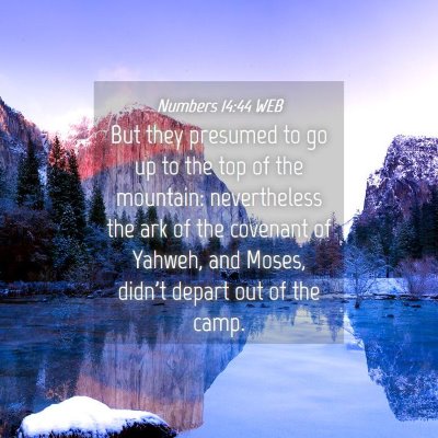 Picture 04 - Numbers 14:44 WEB - But they presumed to go up to the top of the - Bible Verse Picture