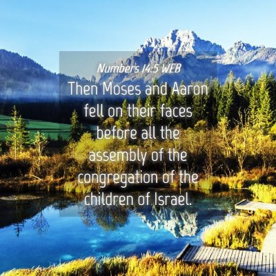 Picture 04 - Numbers 14:5 WEB - Then Moses and Aaron fell on their faces before - Bible Verse Picture