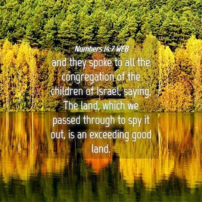 Picture 04 - Numbers 14:7 WEB - and they spoke to all the congregation of the - Bible Verse Picture