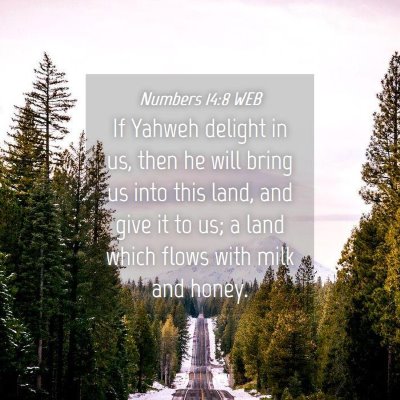 Picture 04 - Numbers 14:8 WEB - If Yahweh delight in us, then he will bring us - Bible Verse Picture