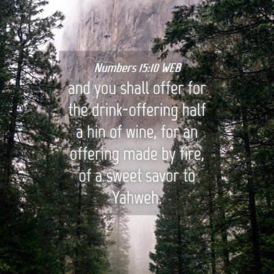 Picture 04 - Numbers 15:10 WEB - and you shall offer for the drink-offering half a - Bible Verse Picture