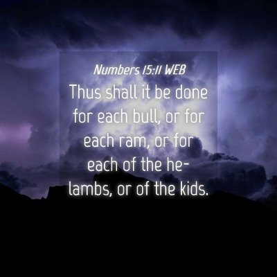 Picture 04 - Numbers 15:11 WEB - Thus shall it be done for each bull, or for each - Bible Verse Picture