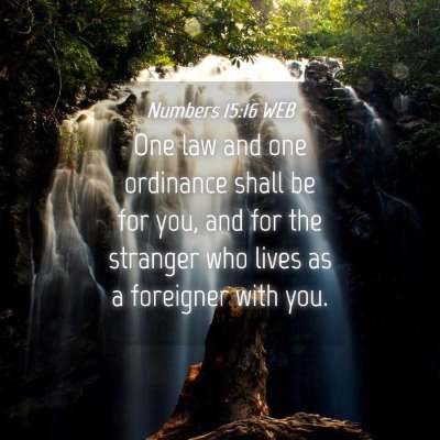 Picture 04 - Numbers 15:16 WEB - One law and one ordinance shall be for you, and - Bible Verse Picture