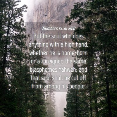 Picture 04 - Numbers 15:30 WEB - But the soul who does anything with a high hand, - Bible Verse Picture