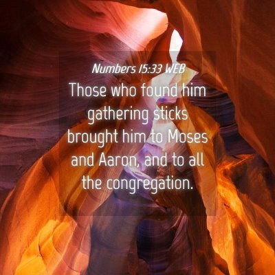 Picture 04 - Numbers 15:33 WEB - Those who found him gathering sticks brought him - Bible Verse Picture