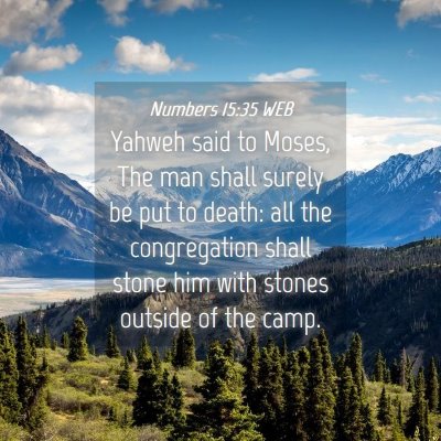 Picture 04 - Numbers 15:35 WEB - Yahweh said to Moses, The man shall surely be put - Bible Verse Picture