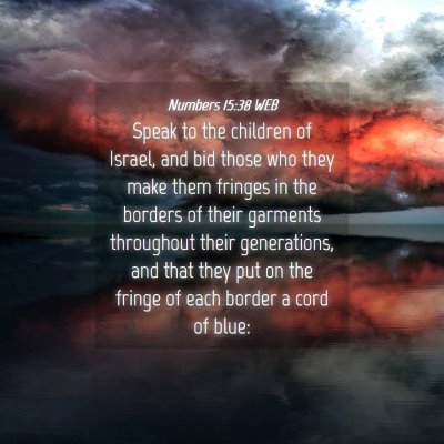 Picture 04 - Numbers 15:38 WEB - Speak to the children of Israel, and bid those - Bible Verse Picture