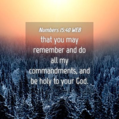 Picture 04 - Numbers 15:40 WEB - that you may remember and do all my commandments, - Bible Verse Picture