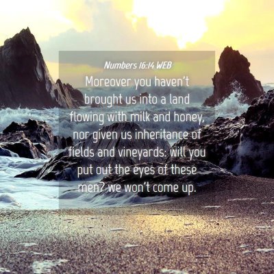 Picture 04 - Numbers 16:14 WEB - Moreover you haven't brought us into a land - Bible Verse Picture