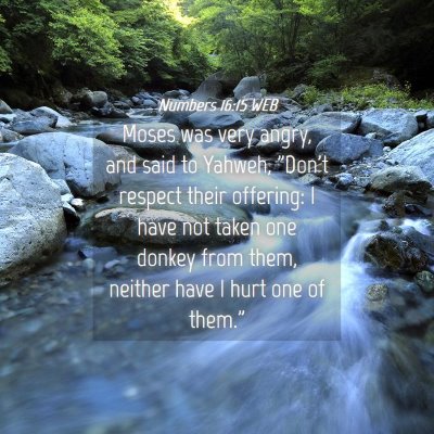 Picture 04 - Numbers 16:15 WEB - Moses was very angry, and said to Yahweh, 