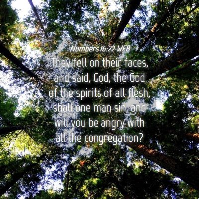 Picture 04 - Numbers 16:22 WEB - They fell on their faces, and said, God, the God - Bible Verse Picture