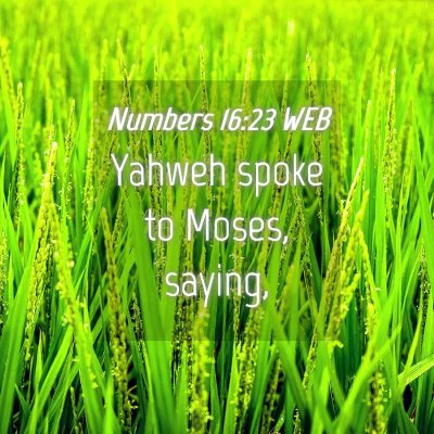 Picture 04 - Numbers 16:23 WEB - Yahweh spoke to Moses, - Bible Verse Picture