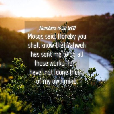 Picture 04 - Numbers 16:28 WEB - Moses said, Hereby you shall know that Yahweh has - Bible Verse Picture