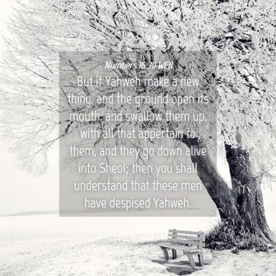 Picture 04 - Numbers 16:30 WEB - But if Yahweh make a new thing, and the ground - Bible Verse Picture