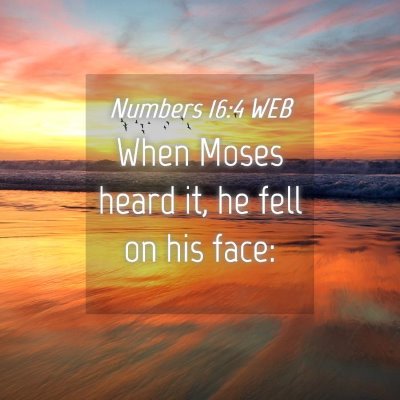 Picture 04 - Numbers 16:4 WEB - When Moses heard it, he fell on his - Bible Verse Picture