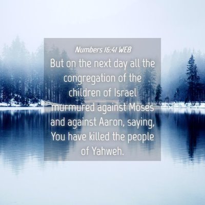 Picture 04 - Numbers 16:41 WEB - But on the next day all the congregation of the - Bible Verse Picture