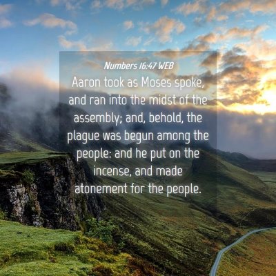Picture 04 - Numbers 16:47 WEB - Aaron took as Moses spoke, and ran into the midst - Bible Verse Picture