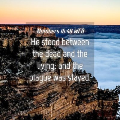 Picture 04 - Numbers 16:48 WEB - He stood between the dead and the living; and the - Bible Verse Picture