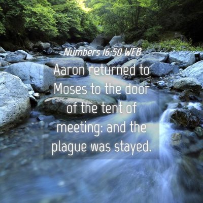 Picture 04 - Numbers 16:50 WEB - Aaron returned to Moses to the door of the tent - Bible Verse Picture
