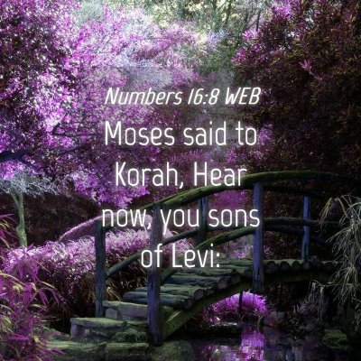 Picture 04 - Numbers 16:8 WEB - Moses said to Korah, Hear now, you sons of - Bible Verse Picture