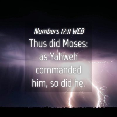 Picture 04 - Numbers 17:11 WEB - Thus did Moses: as Yahweh commanded him, so did - Bible Verse Picture