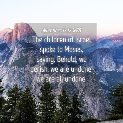 Picture 04 - Numbers 17:12 WEB - The children of Israel spoke to Moses, saying, - Bible Verse Picture