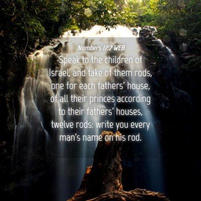 Picture 04 - Numbers 17:2 WEB - Speak to the children of Israel, and take of them - Bible Verse Picture