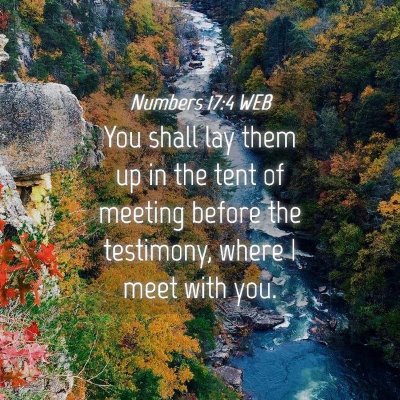 Picture 04 - Numbers 17:4 WEB - You shall lay them up in the tent of meeting - Bible Verse Picture