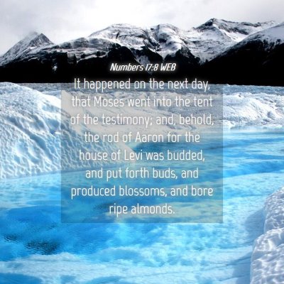 Picture 04 - Numbers 17:8 WEB - It happened on the next day, that Moses went into - Bible Verse Picture