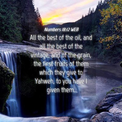 Picture 04 - Numbers 18:12 WEB - All the best of the oil, and all the best of the - Bible Verse Picture