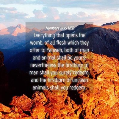 Picture 04 - Numbers 18:15 WEB - Everything that opens the womb, of all flesh - Bible Verse Picture