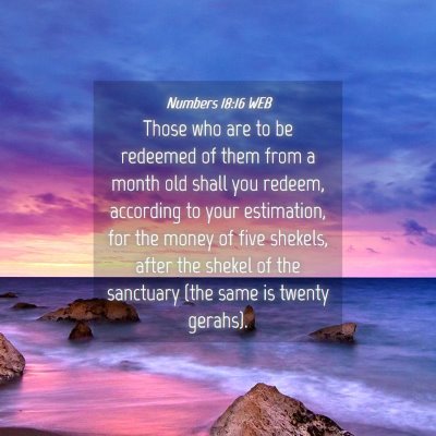 Picture 04 - Numbers 18:16 WEB - Those who are to be redeemed of them from a month - Bible Verse Picture
