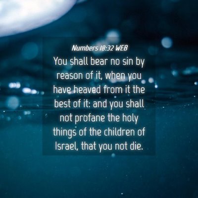 Picture 04 - Numbers 18:32 WEB - You shall bear no sin by reason of it, when you - Bible Verse Picture