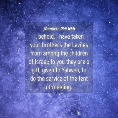 Picture 04 - Numbers 18:6 WEB - I, behold, I have taken your brothers the Levites - Bible Verse Picture