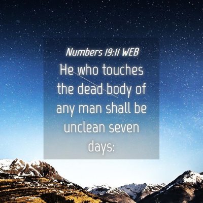 Picture 04 - Numbers 19:11 WEB - He who touches the dead body of any man shall be - Bible Verse Picture