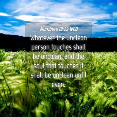 Picture 04 - Numbers 19:22 WEB - Whatever the unclean person touches shall be - Bible Verse Picture