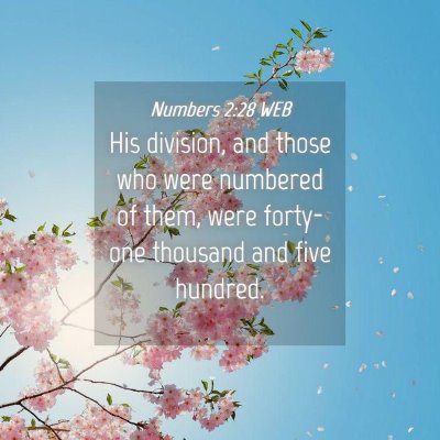 Picture 04 - Numbers 2:28 WEB - His division, and those who were numbered of - Bible Verse Picture