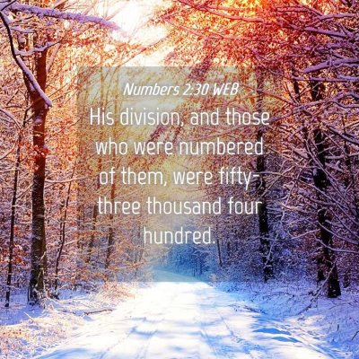 Picture 04 - Numbers 2:30 WEB - His division, and those who were numbered of - Bible Verse Picture