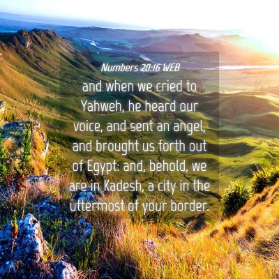 Picture 04 - Numbers 20:16 WEB - and when we cried to Yahweh, he heard our voice, - Bible Verse Picture