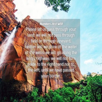 Picture 04 - Numbers 20:17 WEB - Please let us pass through your land: we will not - Bible Verse Picture