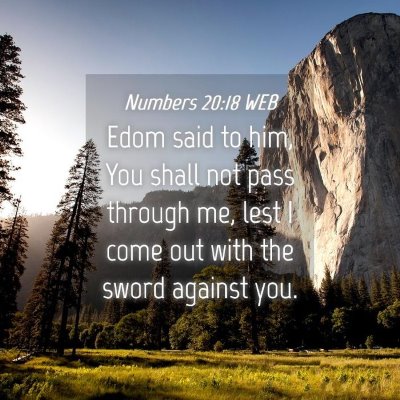 Picture 04 - Numbers 20:18 WEB - Edom said to him, You shall not pass through me, - Bible Verse Picture