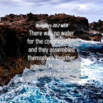 Picture 04 - Numbers 20:2 WEB - There was no water for the congregation: and they - Bible Verse Picture