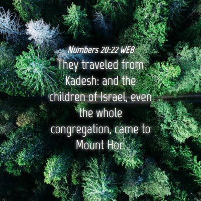 Picture 04 - Numbers 20:22 WEB - They traveled from Kadesh: and the children of - Bible Verse Picture