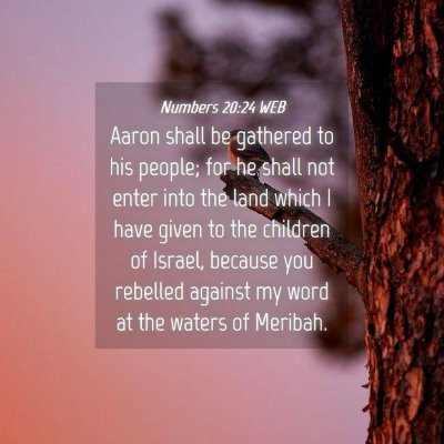 Picture 04 - Numbers 20:24 WEB - Aaron shall be gathered to his people; for he - Bible Verse Picture