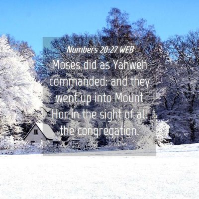 Picture 04 - Numbers 20:27 WEB - Moses did as Yahweh commanded: and they went up - Bible Verse Picture