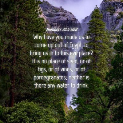 Picture 04 - Numbers 20:5 WEB - Why have you made us to come up out of Egypt, to - Bible Verse Picture